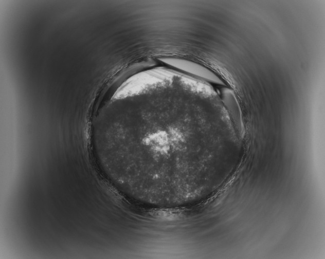 X0000096130305200802151319