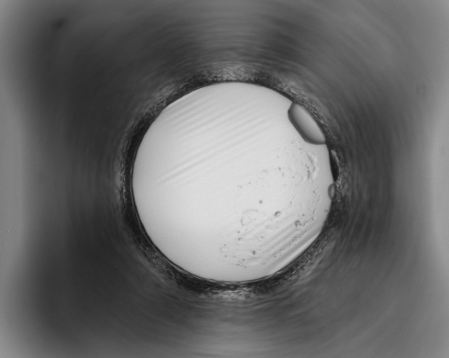 X0000096130306200802151319