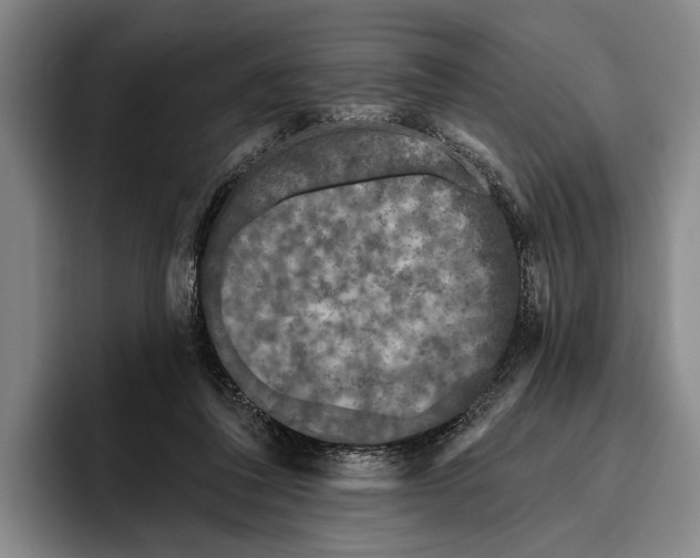 X0000096130308200802151319