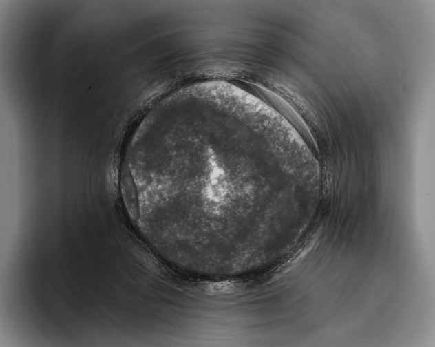 X0000096130309200802151319