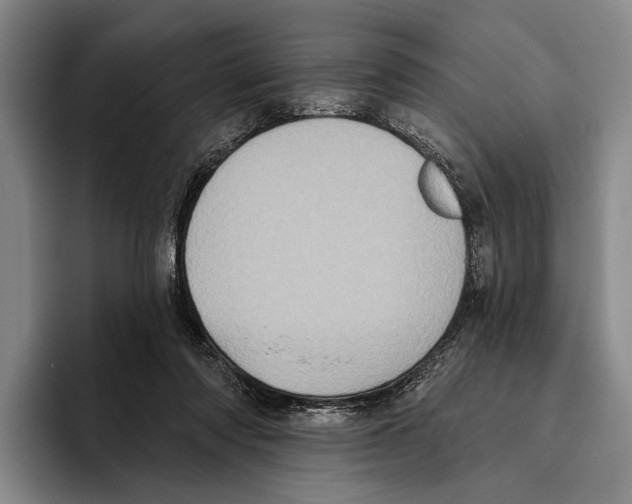 X0000096130310200802151319