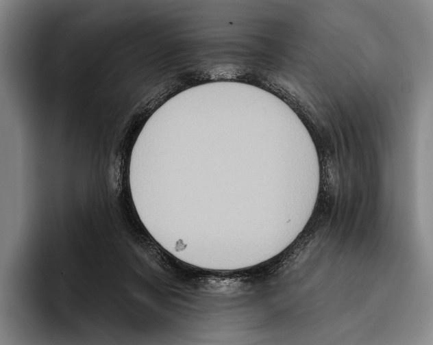 X0000096130311200802151319