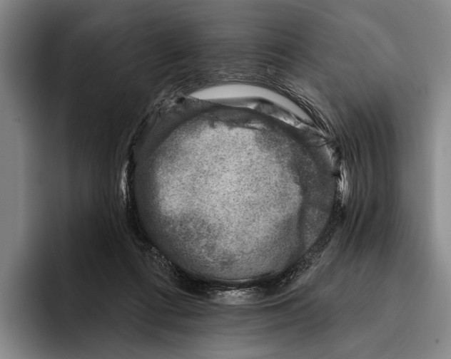 X0000096130312200802151319