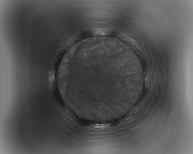 X0000096130314200802151319