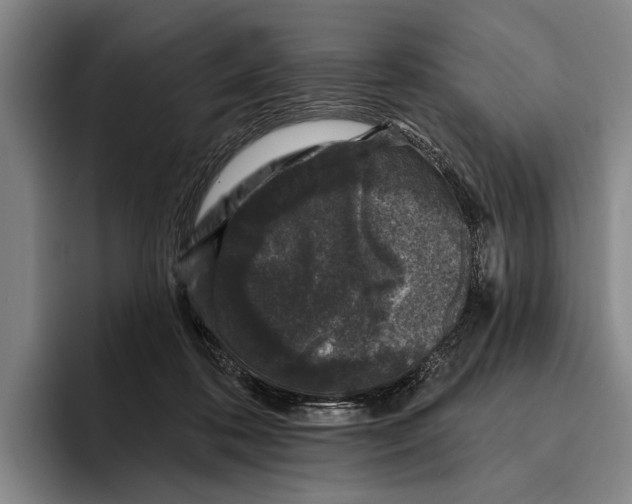 X0000096130316200802151319