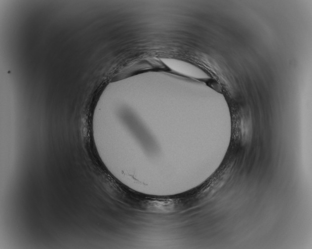 X0000096130317200802151319