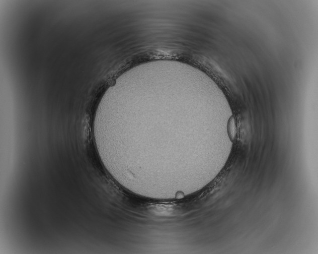 X0000096130318200802151319