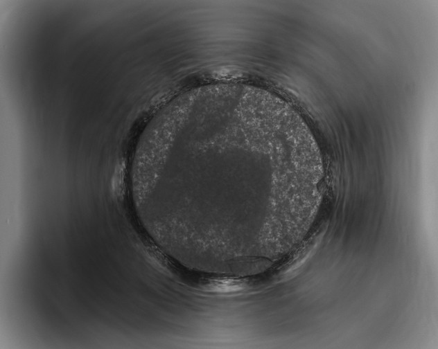 X0000096130319200802151319