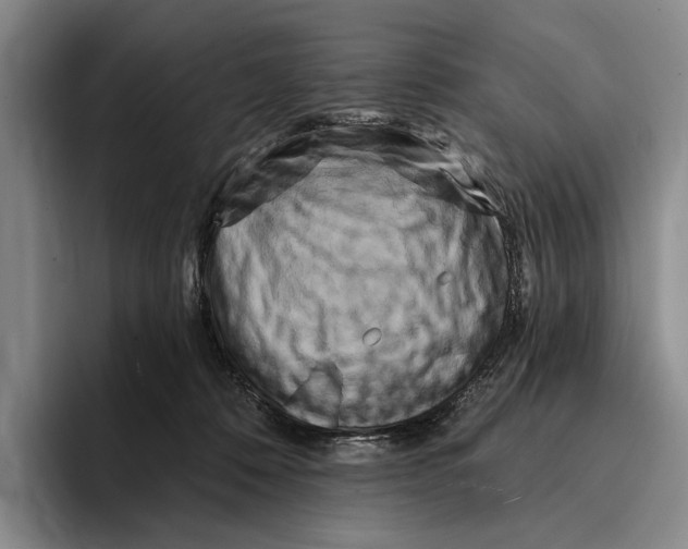 X0000096130320200802151319