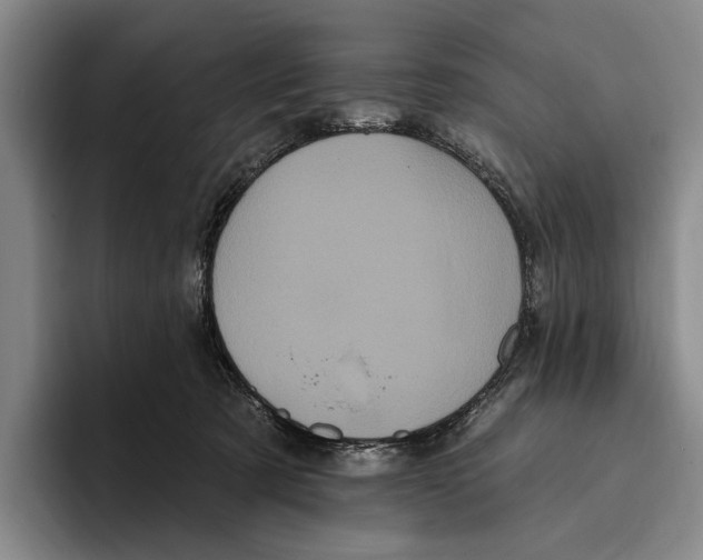 X0000096130321200802151319