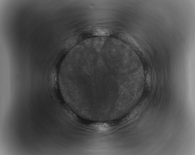 X0000096130322200802151319