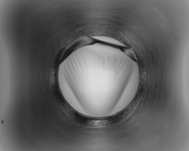 X0000096130323200802151319