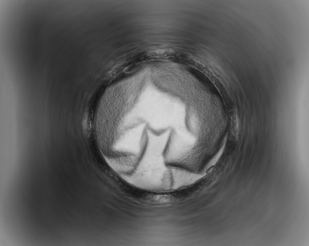 X0000096130324200802151319