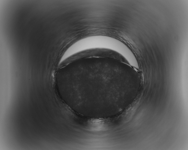 X0000096130325200802151319