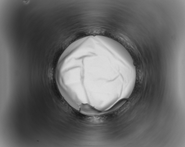 X0000096130326200802151319