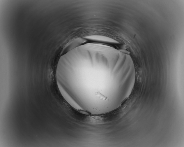 X0000096130327200802151319