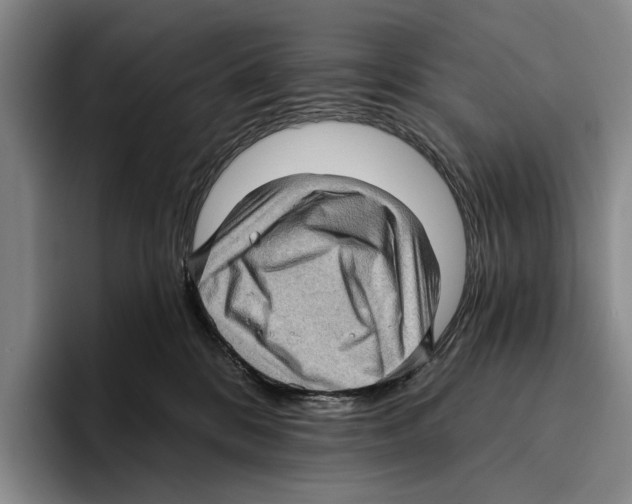 X0000096130328200802151319