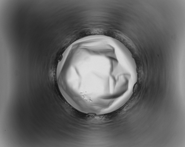 X0000096130329200802151319