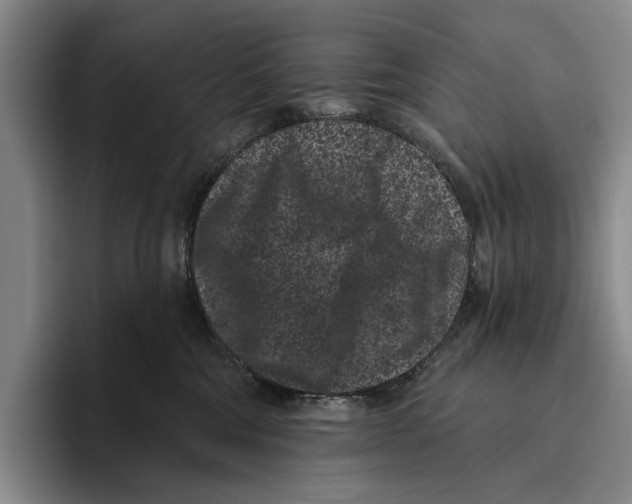 X0000096130330200802151319