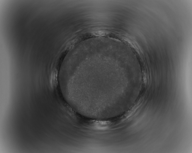 X0000096130332200802151319