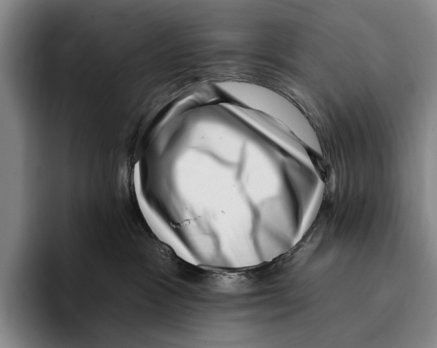 X0000096130333200802151319