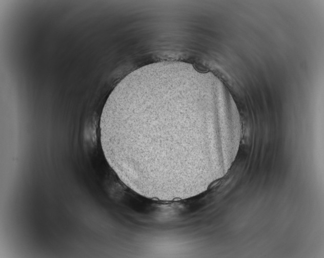 X0000096130334200802151319