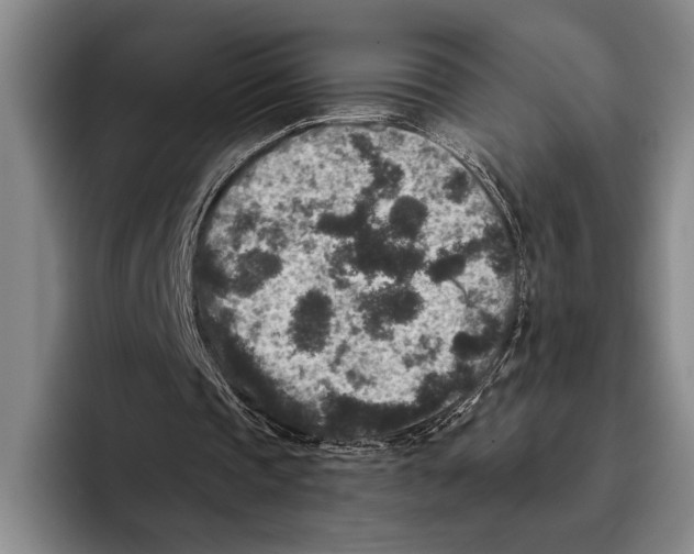 X0000096130337200802151318