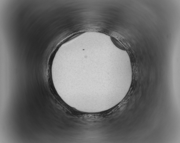 X0000096130338200802151318