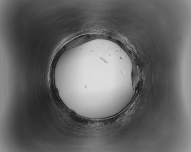 X0000096130340200802151318