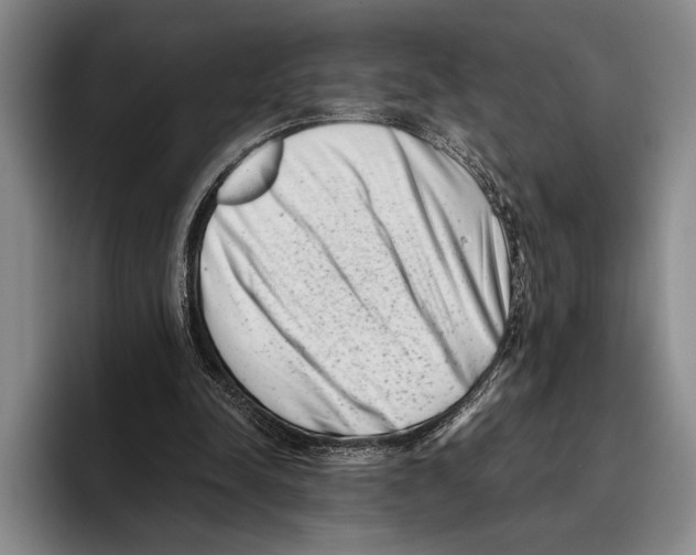 X0000096130342200802151318