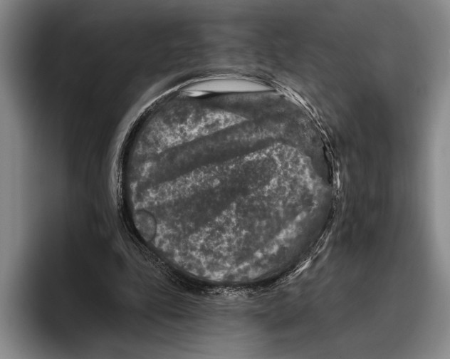 X0000096130343200802151318