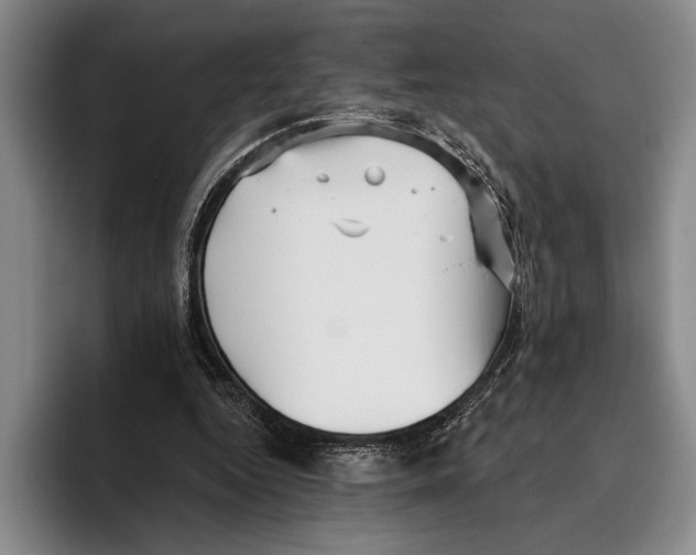 X0000096130344200802151318