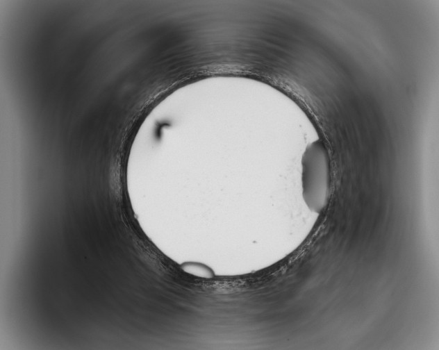 X0000096130345200802151318