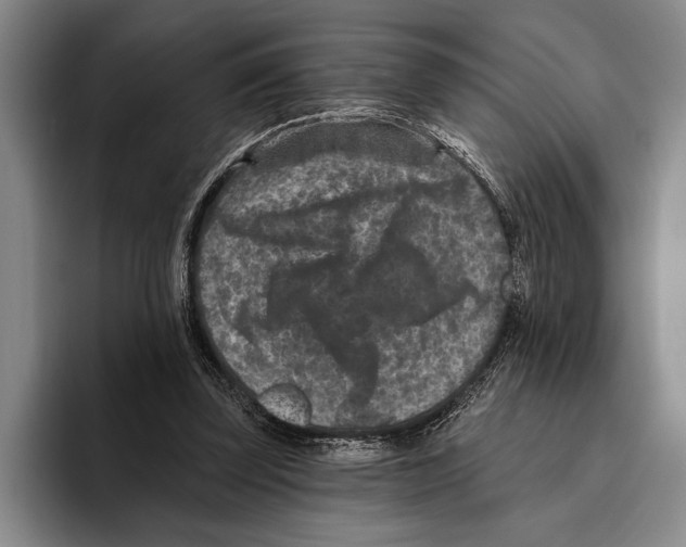 X0000096130347200802151318