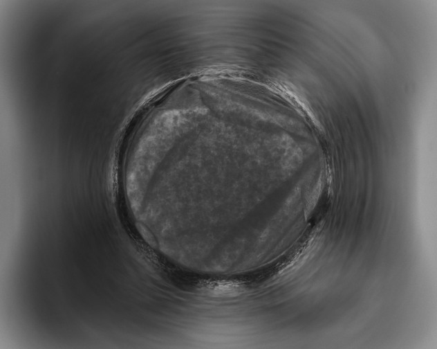 X0000096130348200802151318