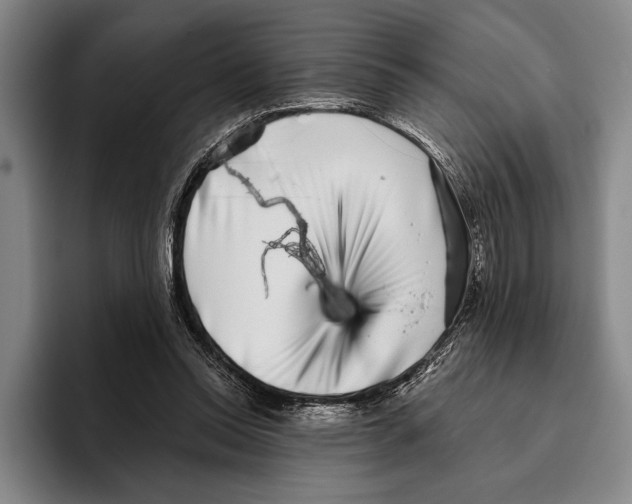 X0000096130350200802151318