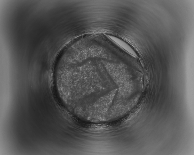 X0000096130351200802151318