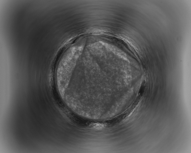 X0000096130352200802151318