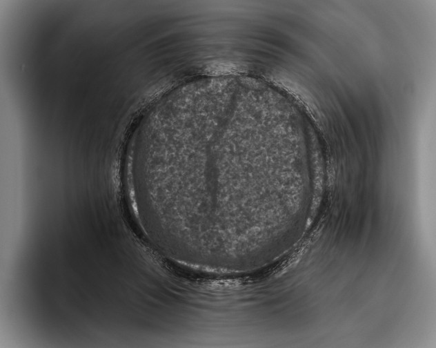 X0000096130353200802151318