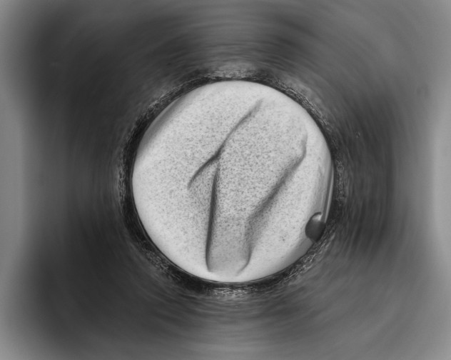 X0000096130354200802151318