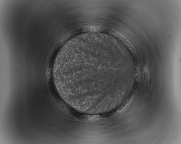 X0000096130355200802151318