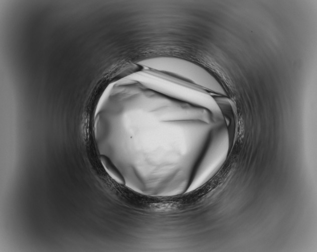 X0000096130356200802151318