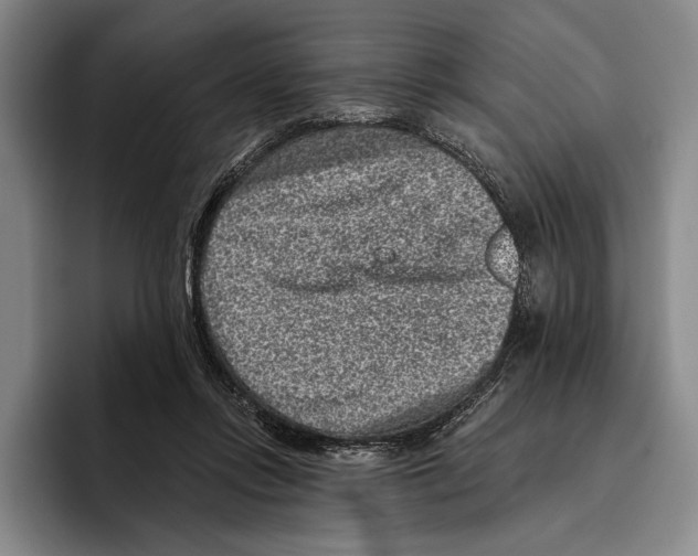 X0000096130358200802151318