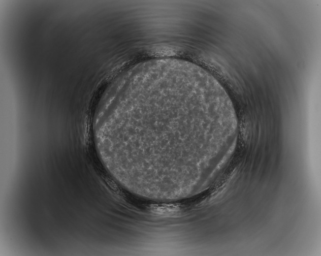 X0000096130359200802151318