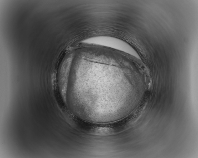 X0000096130360200802151318