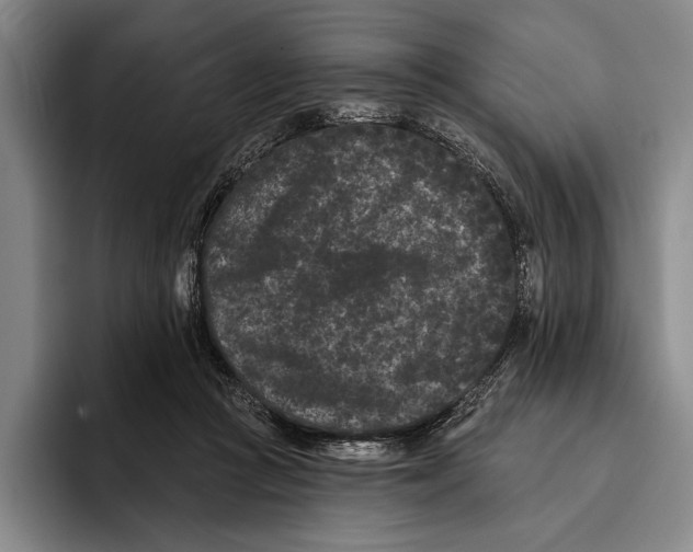 X0000096130361200802151318