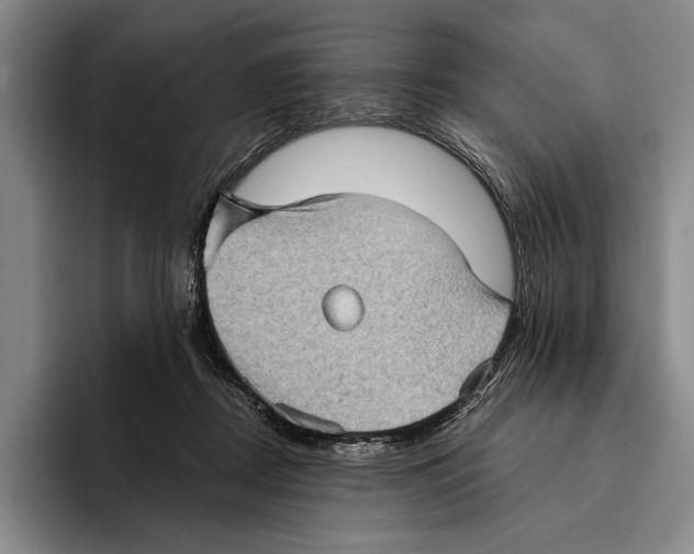 X0000096130362200802151318