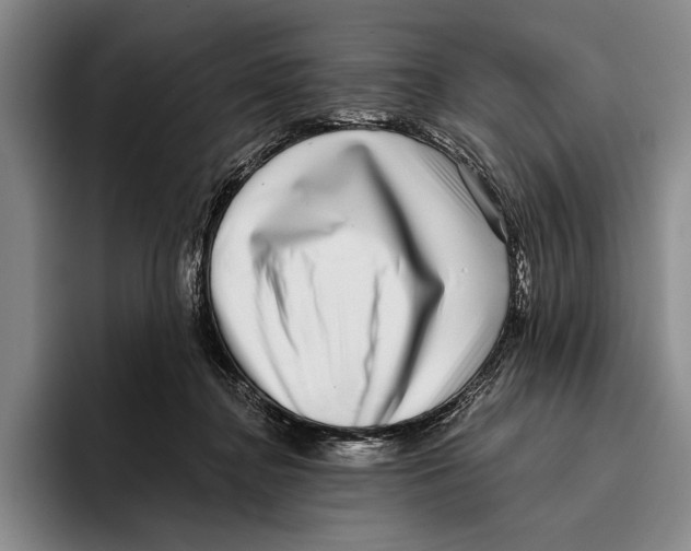 X0000096130364200802151318