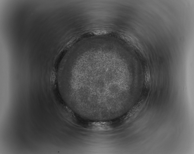 X0000096130367200802151318