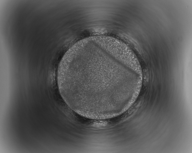 X0000096130369200802151318